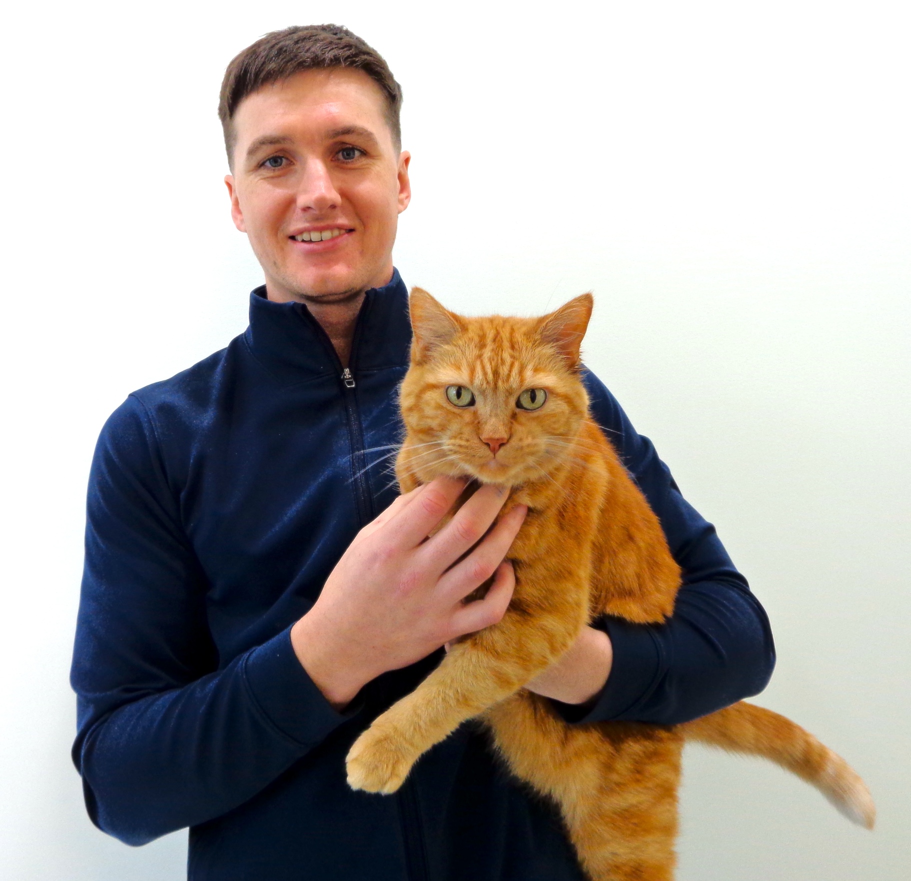 Smiling veterinarian holding an orange tabby cat